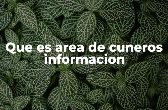 Que es Area de Cuneros Informacion