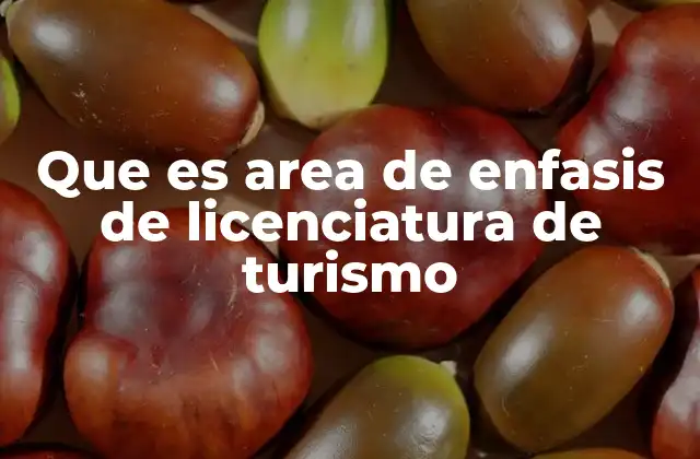 Que es Area de Enfasis de Licenciatura de Turismo