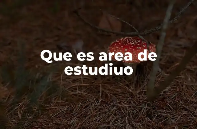 Cómo se estructuran las áreas de estudio en la educación superior