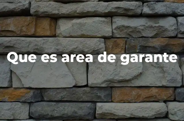 Que es Area de Garante