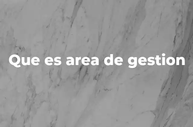 Que es Area de Gestion