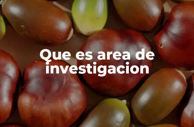 Que es Area de Investigacion