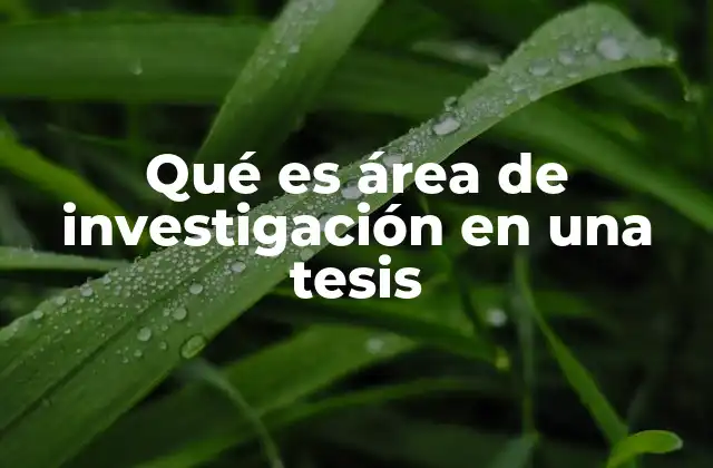 Qué es Área de Investigación en una Tesis