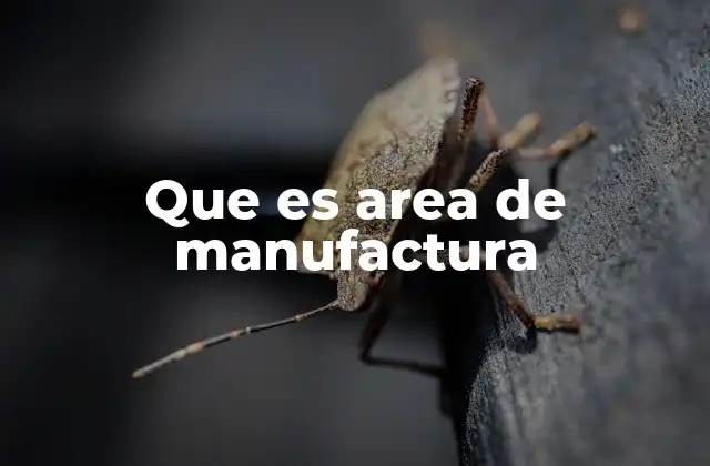 Que es Area de Manufactura