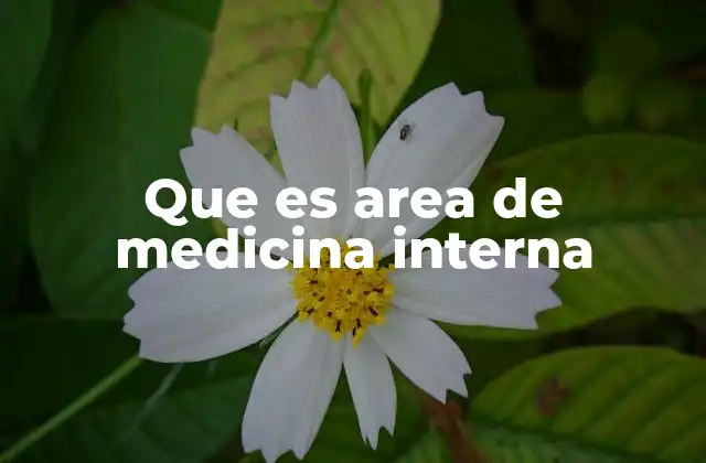 Que es Area de Medicina Interna