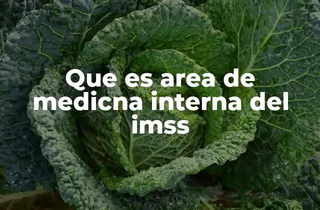 Que es Area de Medicna Interna Del Imss
