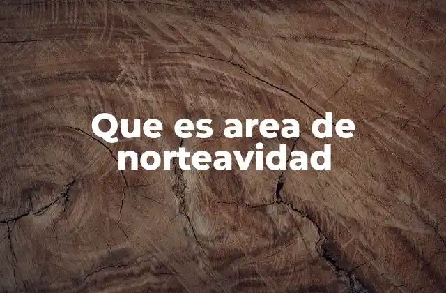 Que es Area de Norteavidad