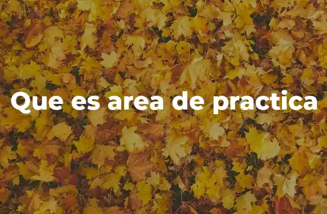 La importancia del entorno donde se aplica el aprendizaje