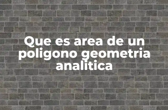Que es Area de un Poligono Geometria Analitica