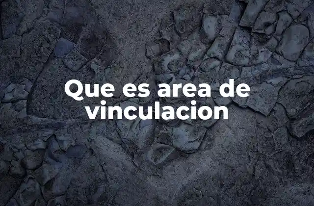 Que es Area de Vinculacion