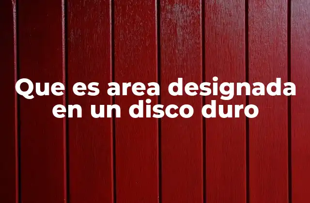 Que es Area Designada en un Disco Duro