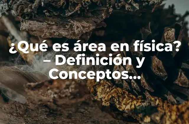 ¿qué es Área en Física? – Definición y Conceptos Fundamentales