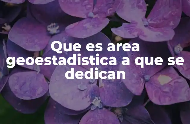 La intersección entre estadística y geografía