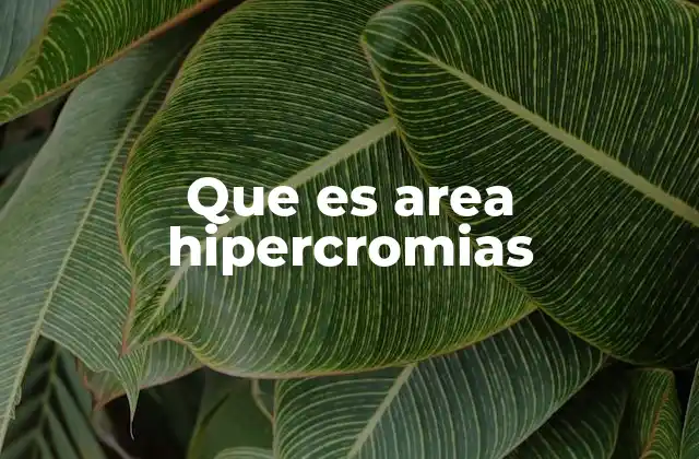 Que es Area Hipercromias