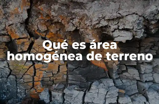 Qué es Área Homogénea de Terreno