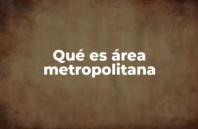 Qué es Área Metropolitana 2 El papel de las áreas metropolitanas en la economía global