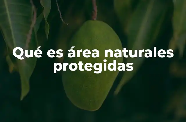 Qué es Área Naturales Protegidas