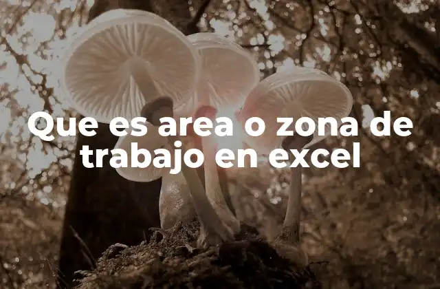 Que es Area o Zona de Trabajo en Excel