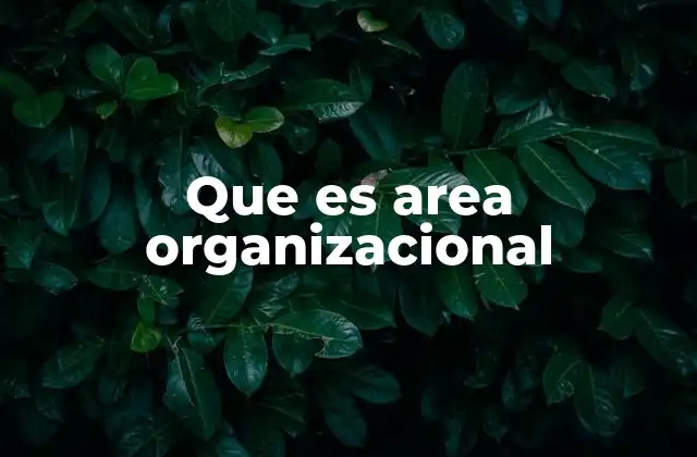 Que es Area Organizacional 2 La importancia de las áreas organizacionales en el desarrollo empresarial