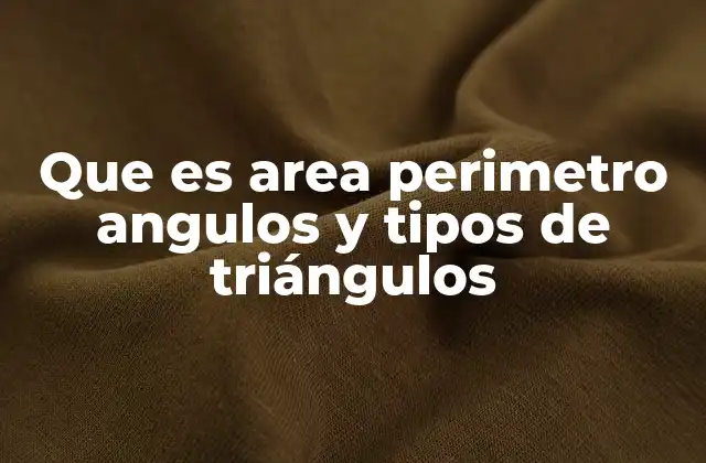 Que es Area Perimetro Angulos y Tipos de Triángulos