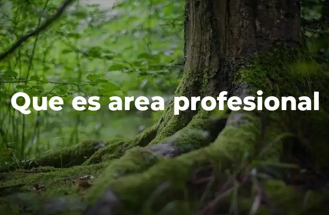 Que es Area Profesional