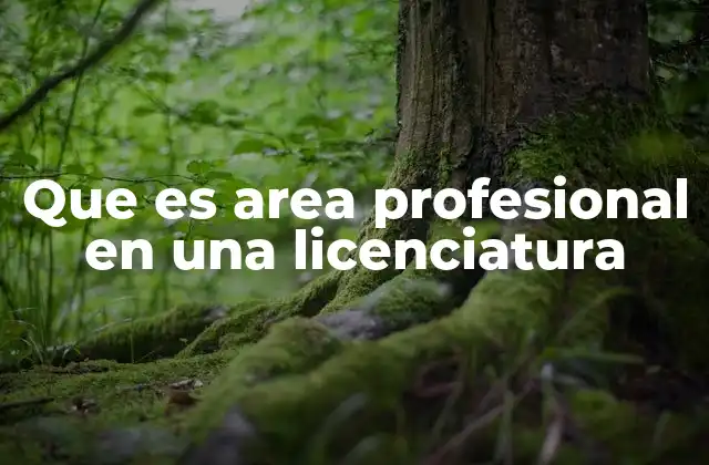 Que es Area Profesional en una Licenciatura