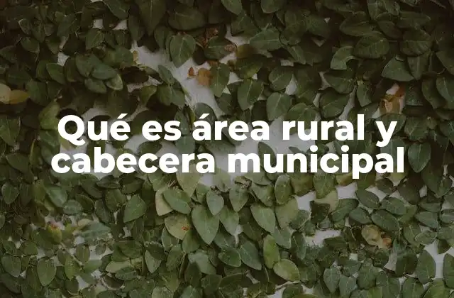 Qué es Área Rural y Cabecera Municipal