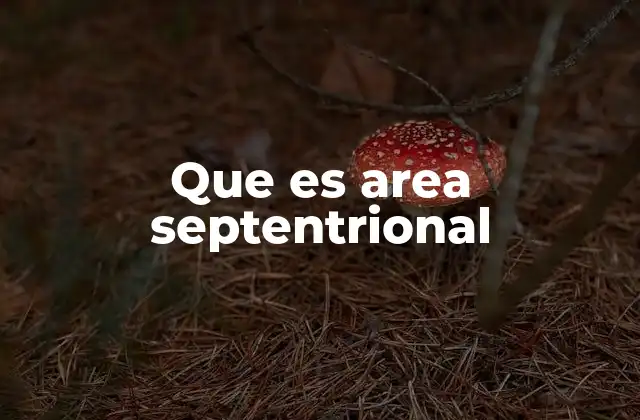 Que es Area Septentrional