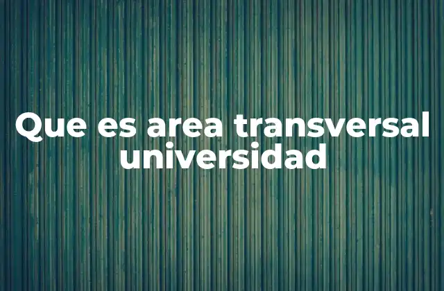 Que es Area Transversal Universidad
