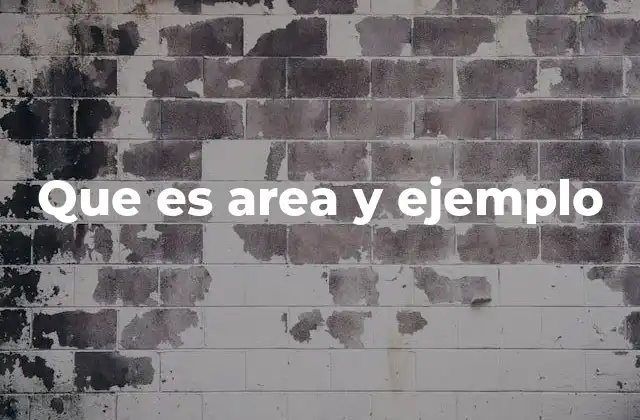 Que es Area y Ejemplo