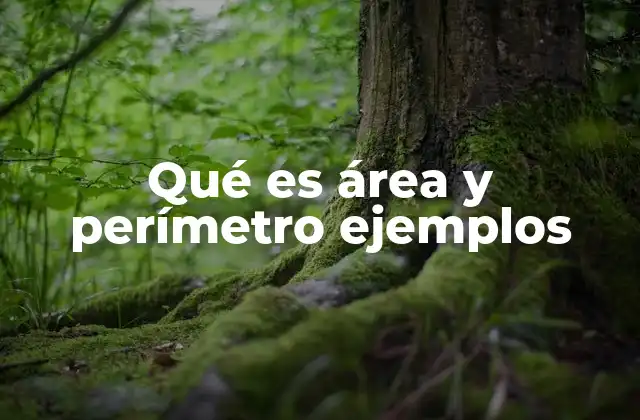 Qué es Área y Perímetro Ejemplos
