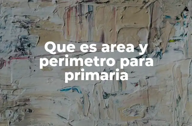 Que es Area y Perimetro para Primaria