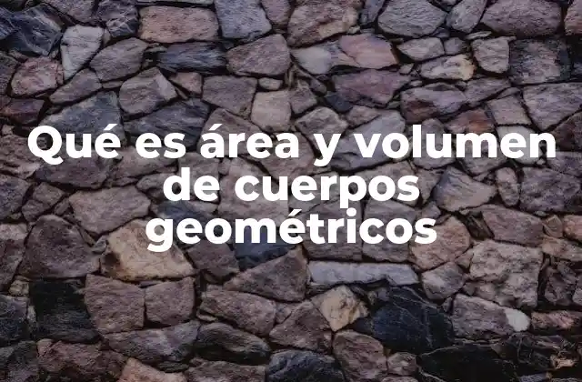 Qué es Área y Volumen de Cuerpos Geométricos
