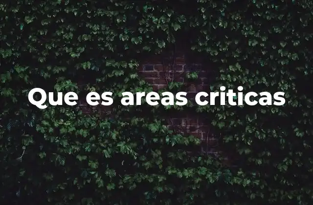 Que es Areas Criticas