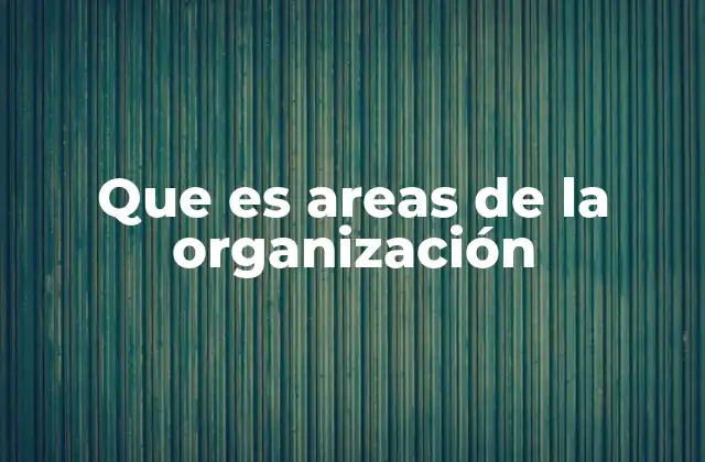 Que es Areas de la Organización
