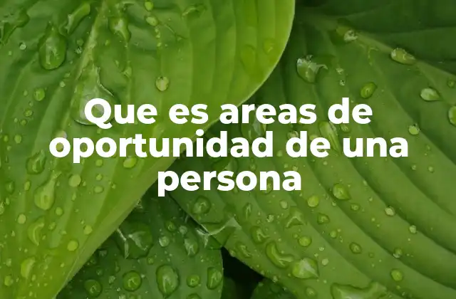Que es Areas de Oportunidad de una Persona