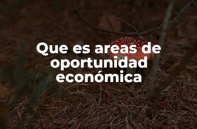 Que es Areas de Oportunidad Económica