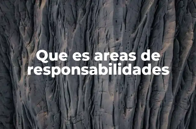 Que es Areas de Responsabilidades