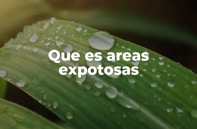 Que es Areas Expotosas