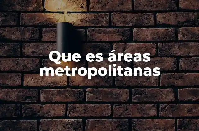 Que es Áreas Metropolitanas