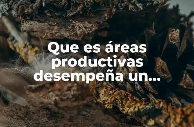 Que es Áreas Productivas Desempeña un Ingeniero Industrial