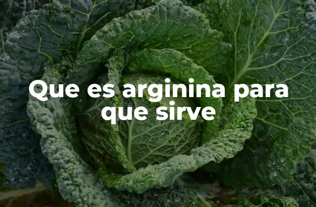 Que es Arginina para que Sirve