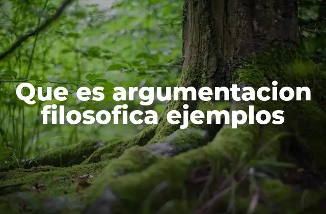 Que es Argumentacion Filosofica Ejemplos