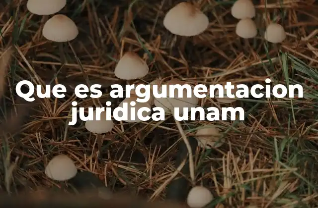 Que es Argumentacion Juridica Unam