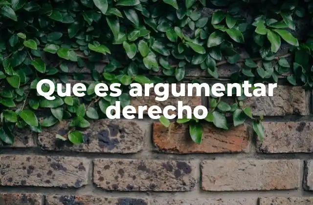 Que es Argumentar Derecho
