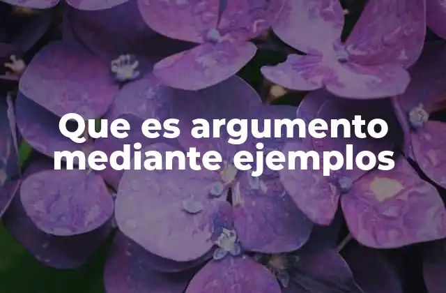 Que es Argumento mediante Ejemplos