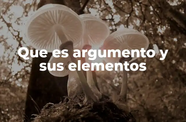 Que es Argumento y Sus Elementos