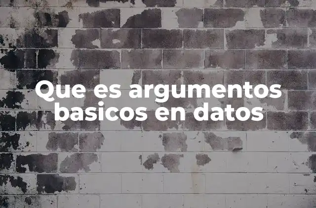 Que es Argumentos Basicos en Datos