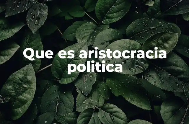 Que es Aristocracia Politica