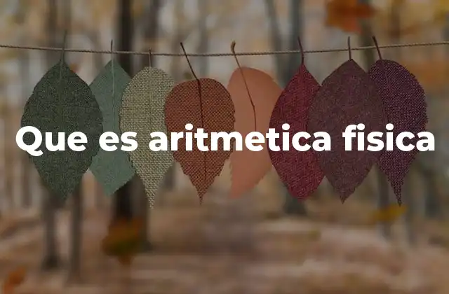 Que es Aritmetica Fisica